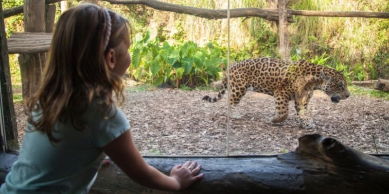 Gramado Zoo - RS