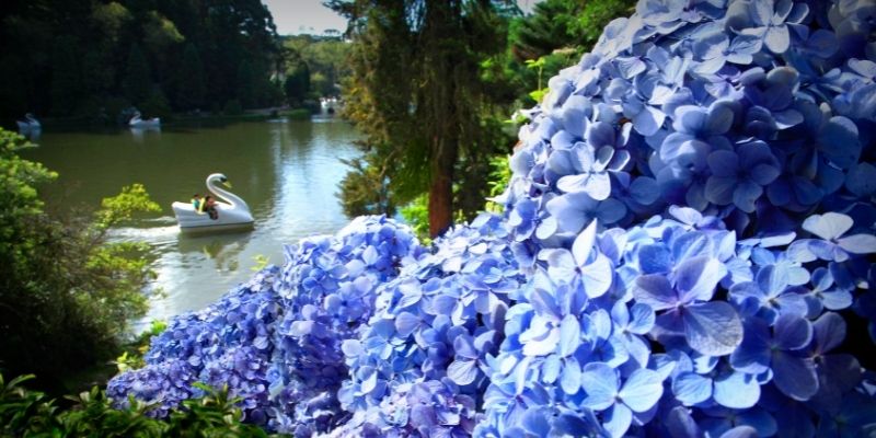 Lago Negro em Gramado