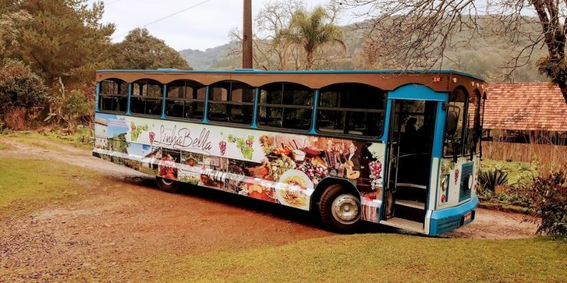 Linhas do gramado: Entenda cada uma